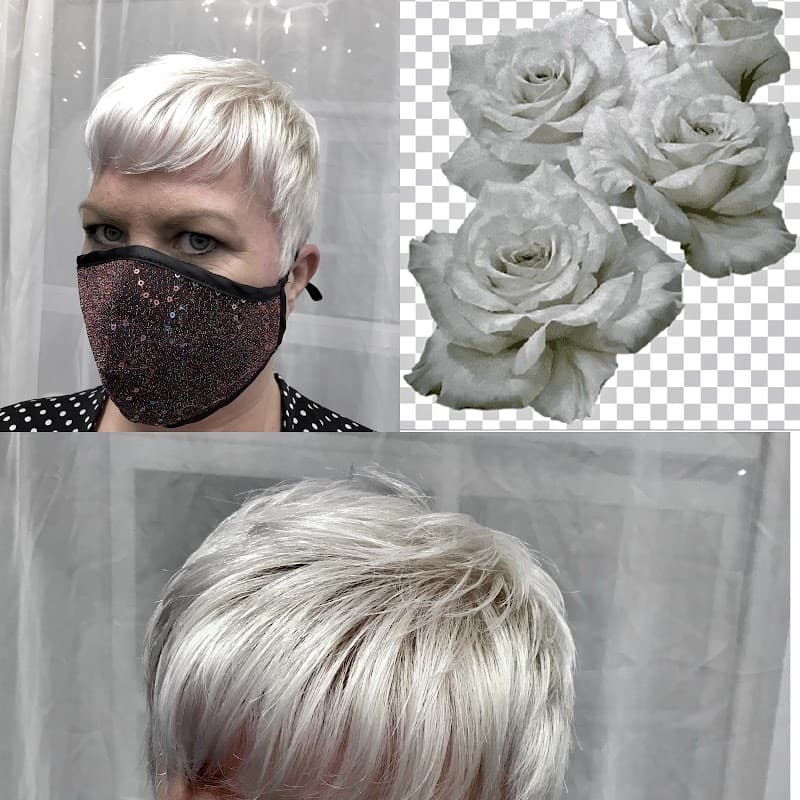 Echolistic Hair Studio