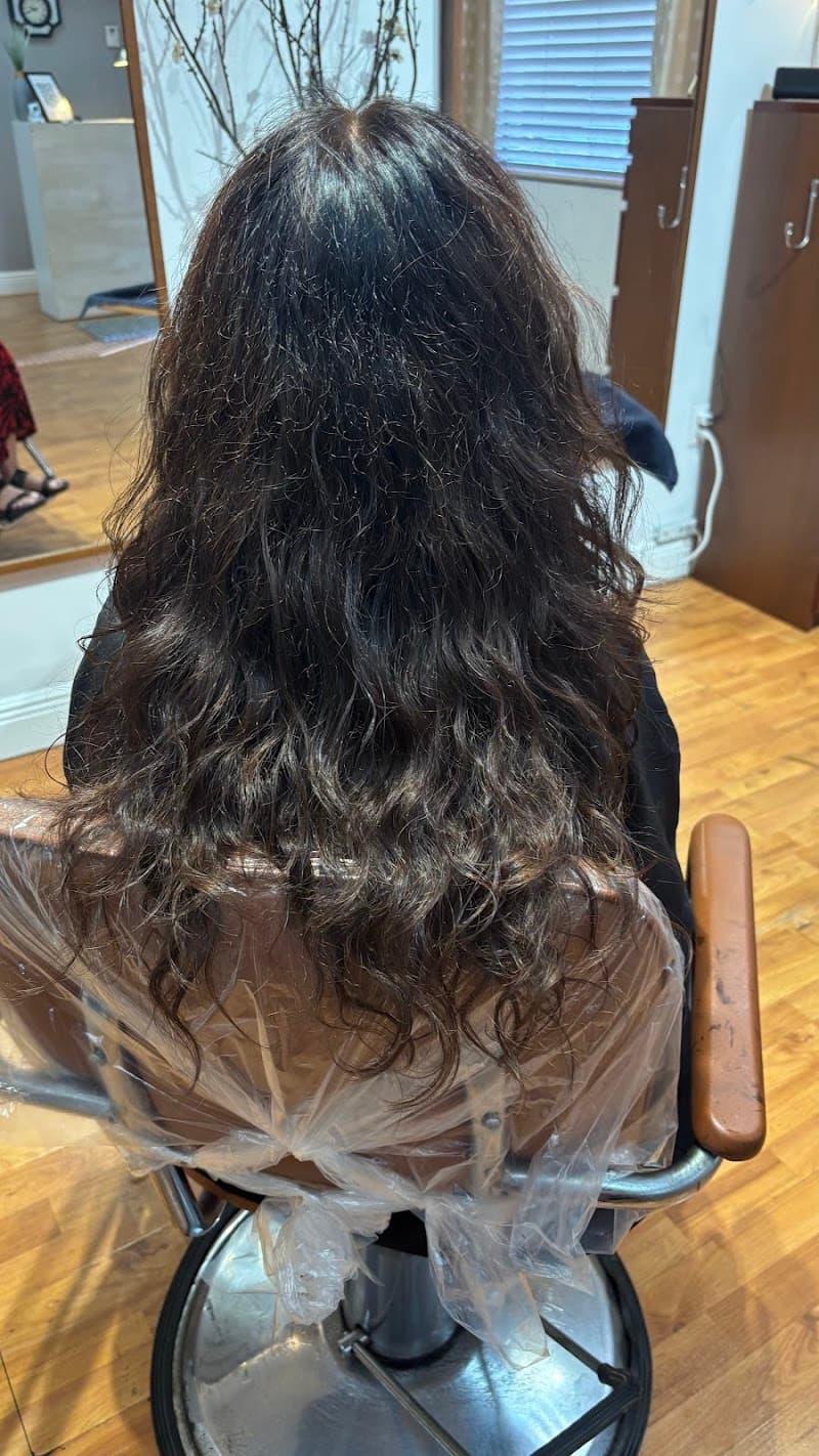 WISP HAIR STUDIO