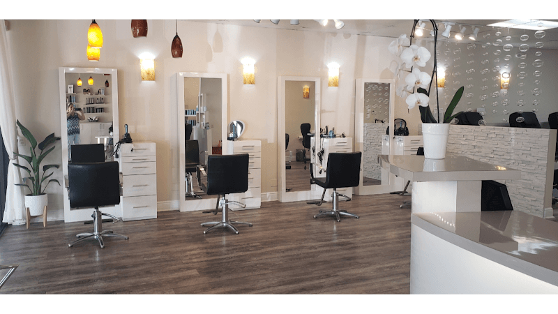 Pink Pony Tail Salon